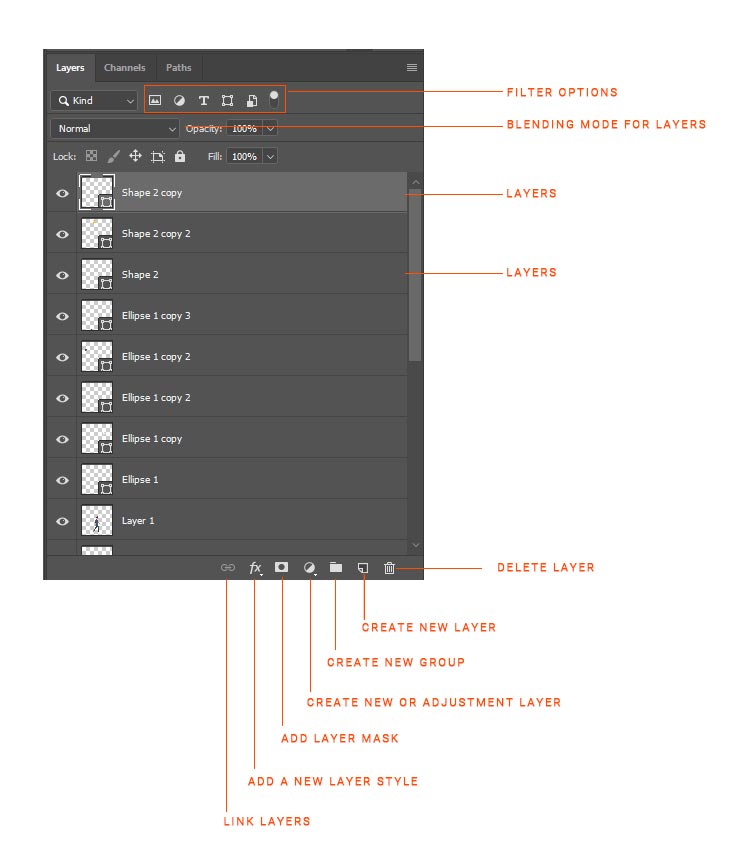 First Look At How To Use Photoshop | Photoshop Basics. - Codes And Design