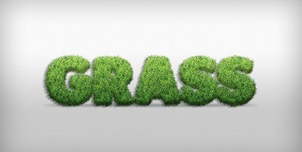 Grass Text Effect